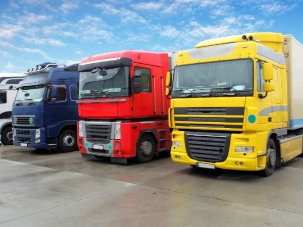 İzmir Trabzon Nakliye